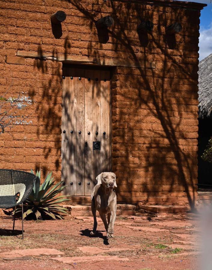 San Pablo Villa de Mitla Casa Regina Oaxacaヴィラ エクステリア 写真