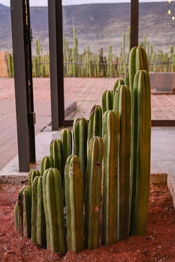 San Pablo Villa de Mitla Casa Regina Oaxacaヴィラ エクステリア 写真