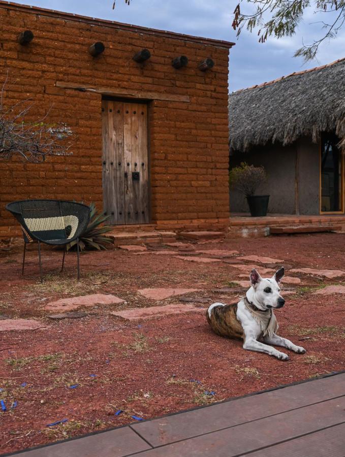 San Pablo Villa de Mitla Casa Regina Oaxacaヴィラ エクステリア 写真