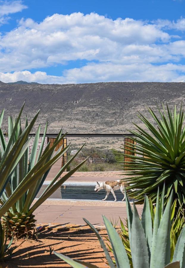 San Pablo Villa de Mitla Casa Regina Oaxacaヴィラ エクステリア 写真